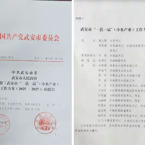武安市多措并举、综合发力 拉开“一县一品”（小米产业）攻坚战帷幕