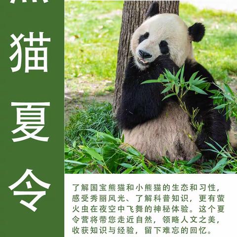 【2023夏令营】——快来和PANDA交朋友