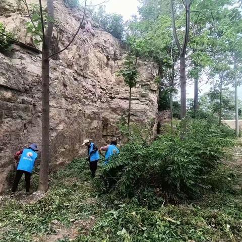 美化村居环境，网格员在行动