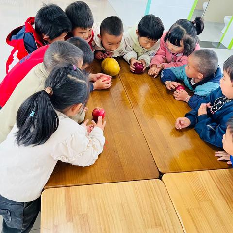 回归自然 ，激活童趣～～～新仁村幼儿园（学前班）