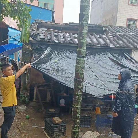 东溪村开展强降雨天气安全巡查动态