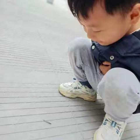 天闻幼儿园中一班《爬爬乐》主题活动美篇