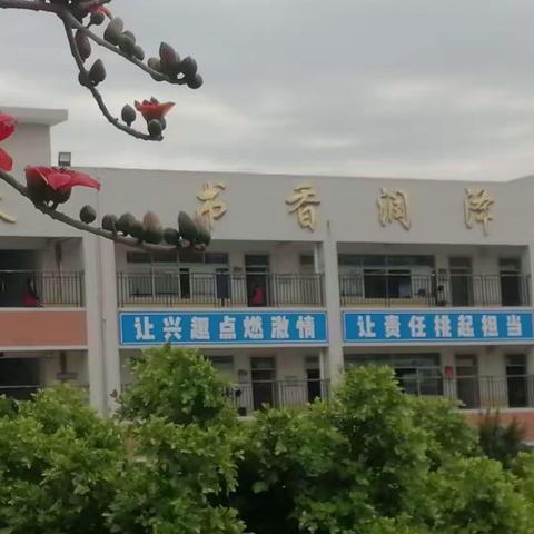 成长路上展风采——新纪元小学新教师汇报课活动