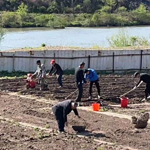 不负春光，耕此新绿一一道清小学开展劳动实践活动