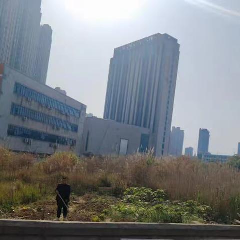 东湖区董家窑街道开展铁路沿线环境整治活动