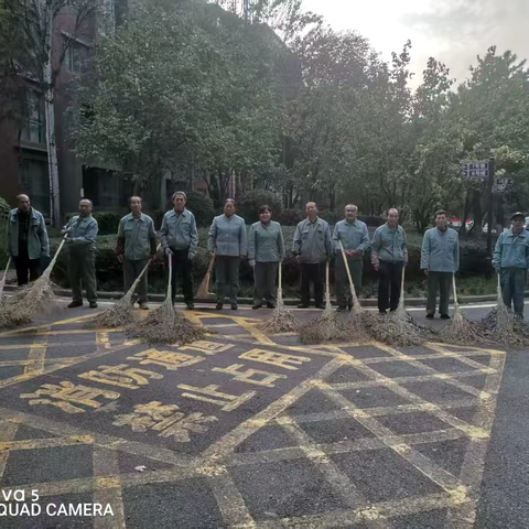 《洁净家园｜向落叶宣战！——记白桦林居落叶大清剿行动》