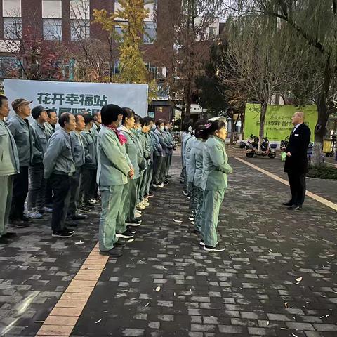 晨光中的守护者：白桦林居的洁净家园画卷 ‍