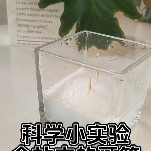 科学小实验第五课——站立的牙签