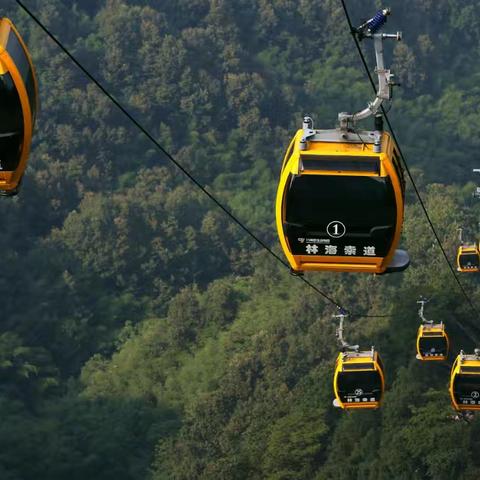 林海索道顺利完成2024年度 抱索器探伤检测