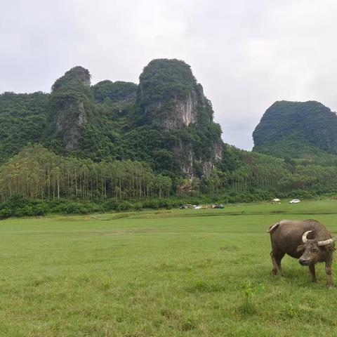 携刻在山水间的快乐“六一”