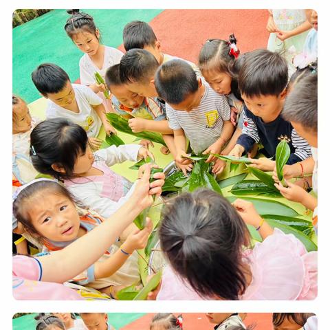 博睿幼儿园中一班一周所学