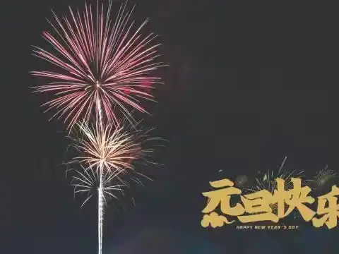 “庆元旦，迎新年”元旦活动暨 12 月集体生日活动—高坊子村慧育希望儿童早期发展活动中心
