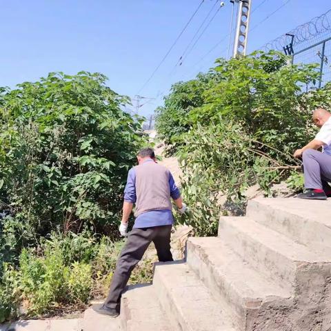 槐荫区吴家堡街道人居环境整治之北店子村