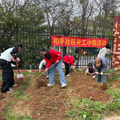 学校里的绿色课堂——忙碌中收获快乐