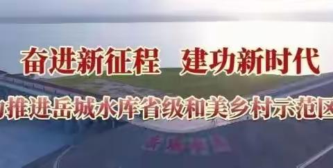 抓落实、提发展！——岳城镇工作周报（5月8日-5月14日）