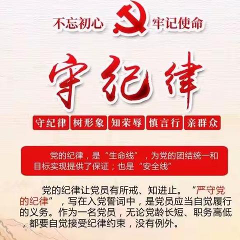 学党纪 担使命 过廉节——营销党支部党日活动纪实