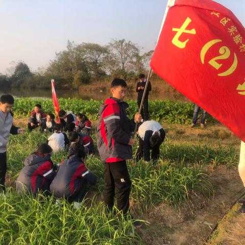 习劳知感恩.实践促成长—-记余江实验初中开展劳动教育实践活动