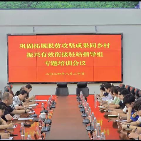 扎兰屯市召开巩固拓展脱贫攻坚成果同乡村振兴有效衔接驻站指导组专题培训会