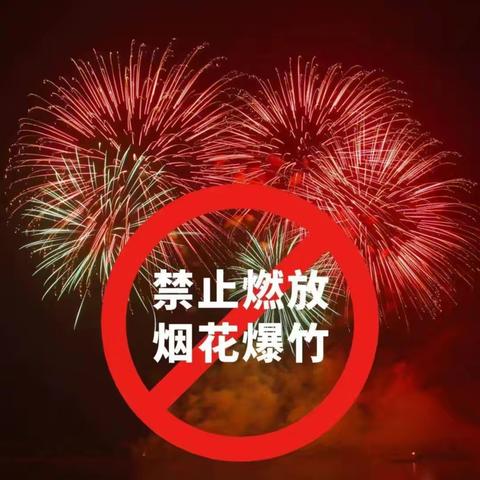 浚州七股路中心校“禁止销售存放烟花爆竹、禁止燃放烟花爆竹”告家长一封信