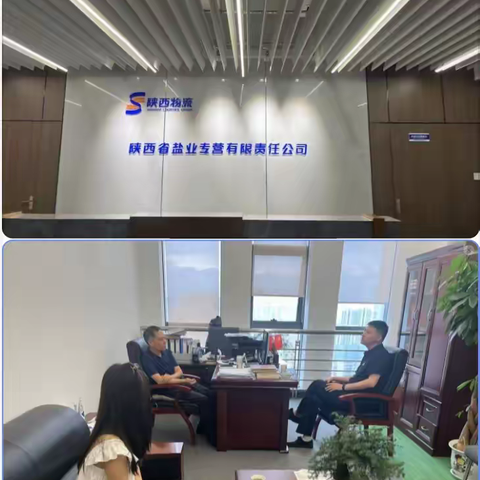 韩城国资国企｜盐业有限责任公司的简篇