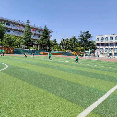 龙坪小学2023年秋季学期一年级新生报名通知