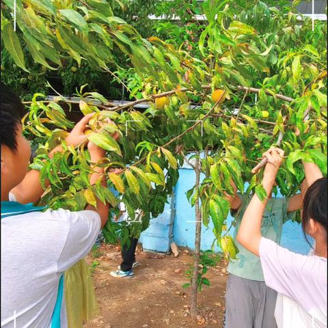 泗县培勤小学四年级第三周《国学》经典背诵