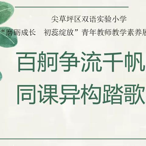 百舸争流千帆竞，同课异构踏歌行——尖草坪区双语实验小学教师“名课促名师、名师促名校”成长活动一