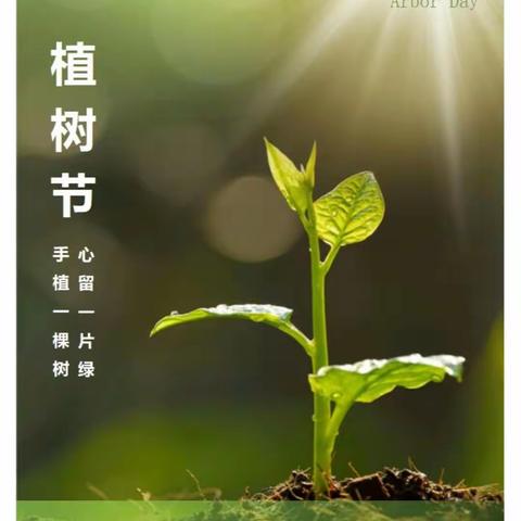 植此青绿，拥抱春天——津南八幼泰昌园植树节活动