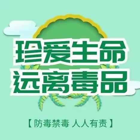 定远寨镇秦闫中心小学开展“健康人生·绿色无毒”预防毒品安全教育活动