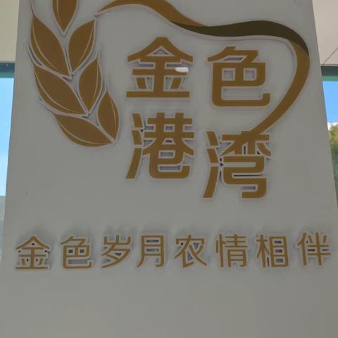 宝泉岭支行营业室“敬老月”防范涉老非法金融教育宣传活动总结