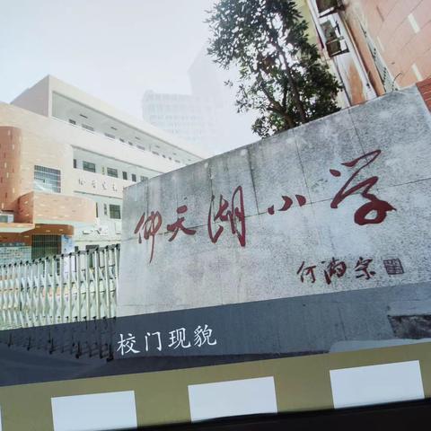 畅游仰天，心海激荡----仰天湖小学跟岗学习总结