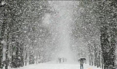 【同心同兴】雨雪来临  安全防范——城隍大风车幼儿园致家长的一封信