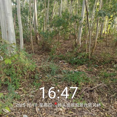 2025年12月18日-乐东县环卫一体化考核工作-针对12月省级明查暗访环境卫生问题整改核实