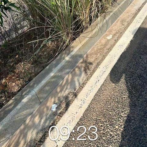 第三方考核组12月18日对清澜新增片区环境卫生服务质量考核情况的通报