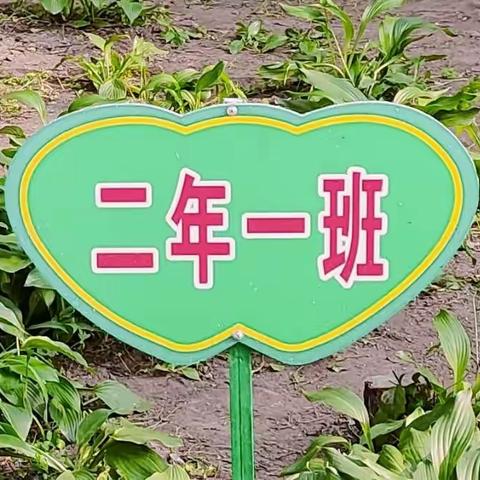 ”我劳动  我光荣”                    二年一班田园劳动实践活动