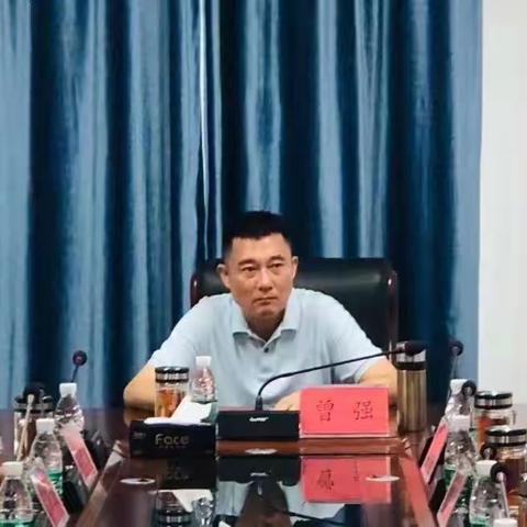 区政府副区长、临春城市更新项目指挥长曾强主持召开临春城市更新项目临时党支部党员（扩大）会议