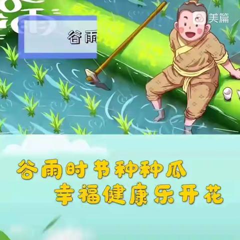 “谷雨时节，雨生百谷”——蕾三班谷雨节气主题活动