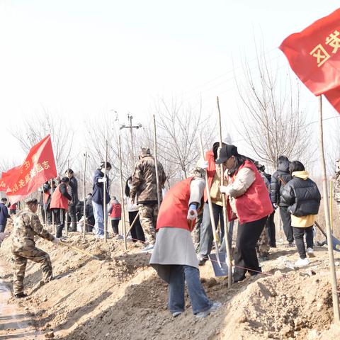 不负春光添新绿   义务植树正当时