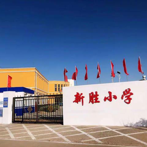 新胜小学党支部深入开展学习贯彻习近平新时代中国特色社会主义思想主题教育安排部署会