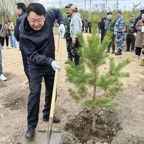 植树造林，收获绿色希望