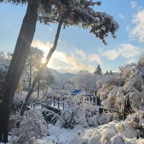 今佳幼儿园 honey班周总结