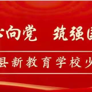 【临西新教育】红领巾心向党 筑强国绽光芒——2022—2023学年少先队活动总结