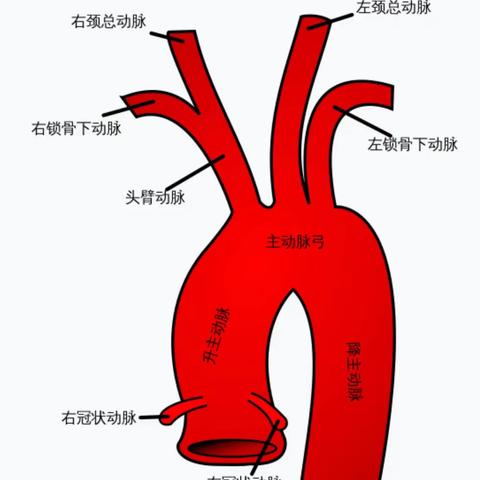 “盗血”——被“偷走”的血液