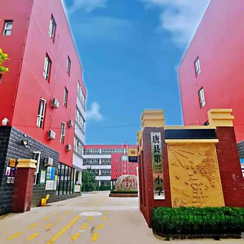 唐县第三小学见习大学生招募公告