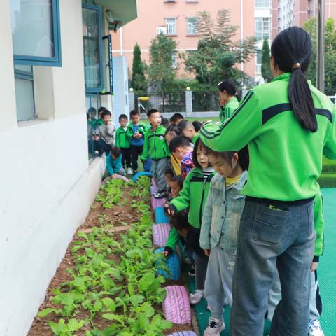 时光清浅 用爱陪伴