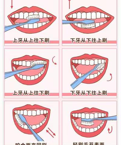 全国爱牙日 ﻿口腔健康 全身健康