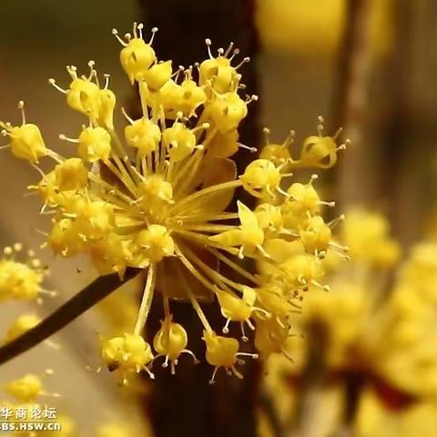 神墨教育开展重阳节亲子登高活动