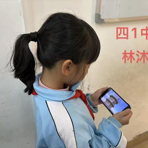 四年级组“红领巾爱学习”观看图片