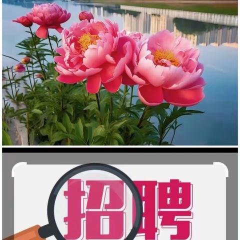 超洁物业中心医院项目6月月报