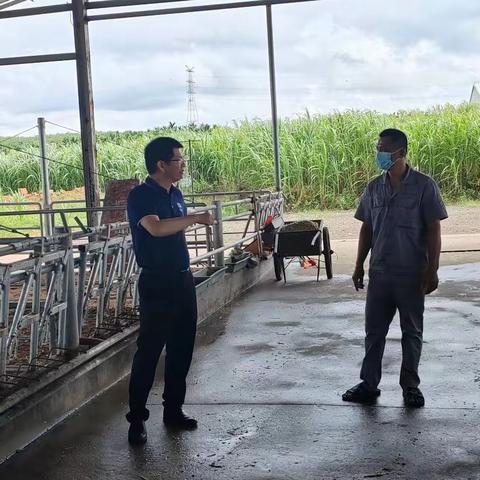 海垦草畜集团开展安全生产隐患大检查